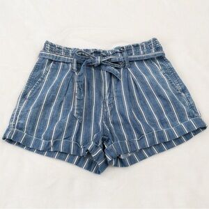 American Eagle Blue Striped Chambray Shorts
